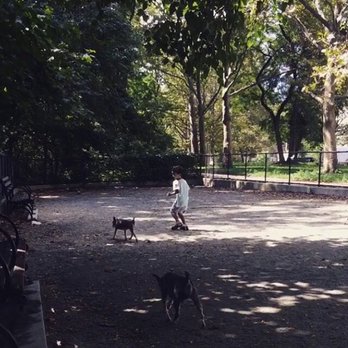 High Bridge Park Dog Run - Dog Parks Near Me - New York, New York High Bridge Park Dog Run - Dog Parks Near Me - New York, New York
