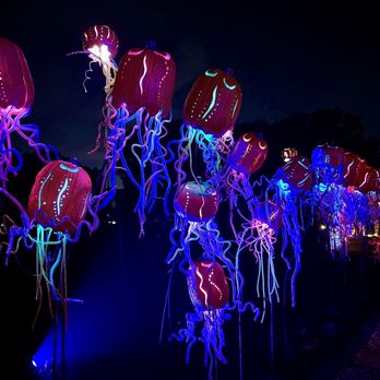 The Great Jack O' Lantern Blaze - Long Island - Festivals Near Me - Old Bethpage, New York The Great Jack O' Lantern Blaze - Long Island - Festivals Near Me - Old Bethpage, New York