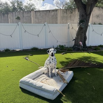 Ben Turf Landscaping - Artificial Turf Near Me - Boca Raton, Florida Ben Turf Landscaping - Artificial Turf Near Me - Boca Raton, Florida