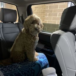 Pick up window