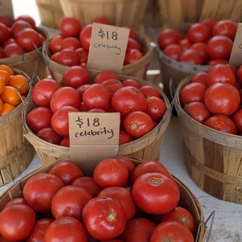 Greg's U-Pick - Delicious tomatoes :). - Pick Your Own Farms Near Me - Clarence Center, New York