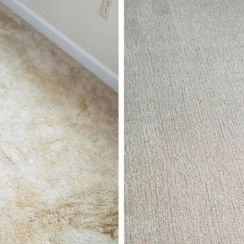 Wipe it Good - Home Cleaning Near Me