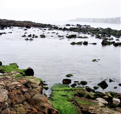 Abalone Cove Park by null