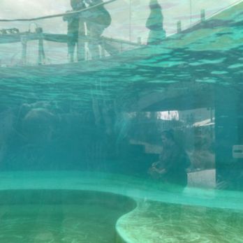 Mississippi Aquarium - Aquariums Near Me - Gulfport, Mississippi