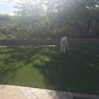 Arizona Artificial Lawns - Landscaping Near Me - Phoenix, Arizona Arizona Artificial Lawns - Landscaping Near Me - Phoenix, Arizona