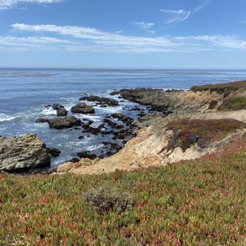 Fiscalini Ranch Preserve - Beautiful views; wonderful trails - Beaches Near Me - Cambria, California Fiscalini Ranch Preserve - Beautiful views; wonderful trails - Beaches Near Me - Cambria, California