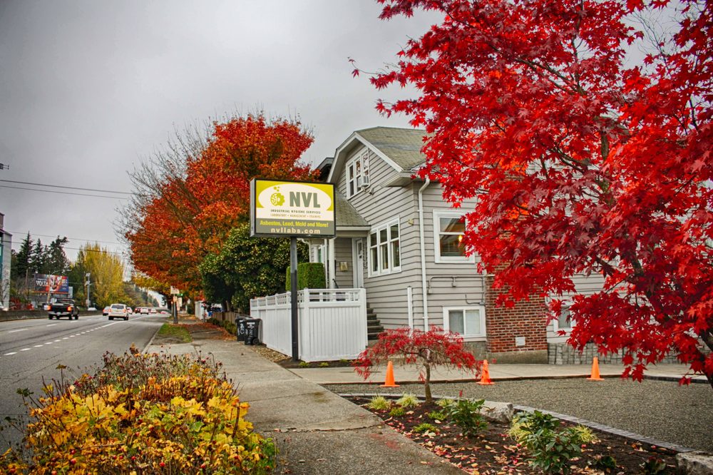 NVL Labs - mold inspector in Seattle, WA