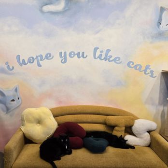 The Cat House - Themed Cafes Near Me - Roselle, Illinois