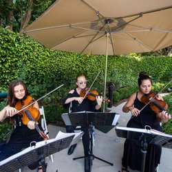 Gemini Strings - Disneyland wedding at Rose Court Garden