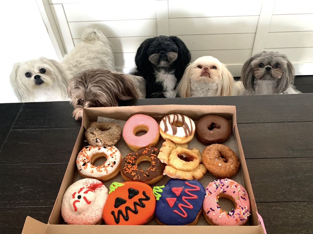 Hole in One Donuts Image