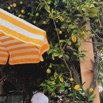 Truly Pizza - Pizza Near Me - Laguna Beach, California