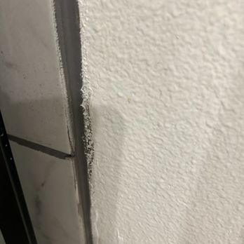 Handy - Master shower finished grout job.  No trim around the outside tile of shower either. - Handyman Near Me