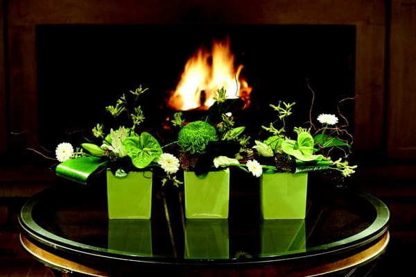 Rudding Park by null