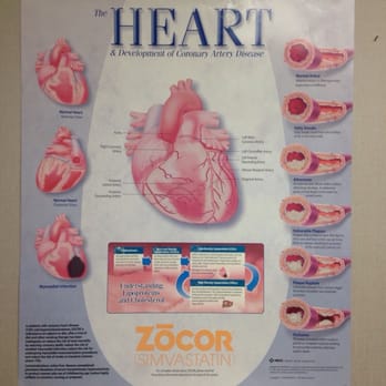 Bowden William, DO FACC - Cardiologists Near Me - Windsor, California Bowden William, DO FACC - Cardiologists Near Me - Windsor, California