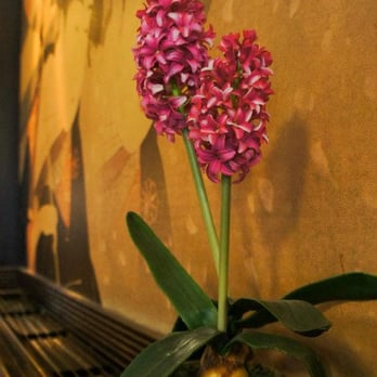 Nipotori - Nipotori - Japanese Near Me - Paris, 75 Nipotori - Nipotori - Japanese Near Me - Paris, 75