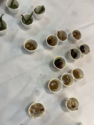 Fresh Thyme Market by null