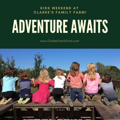 Clarke's Family Farm by null