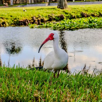 Airborne Visual Studios - Real Estate Photography Near Me