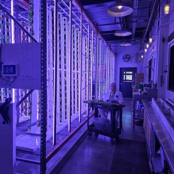 The Feedery Restaurant - Back room hydroponic room for herbs and veggies - Coffee & Tea Near Me - Englewood, Colorado The Feedery Restaurant - Back room hydroponic room for herbs and veggies - Coffee & Tea Near Me - Englewood, Colorado
