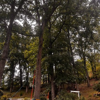 Green Brothers - Tree Services Near Me Green Brothers - Tree Services Near Me