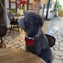 錦田紅磚屋