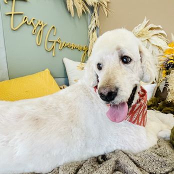 Easy Grooming Pet Solutions - Pet Groomers Near Me - West Chester, Ohio Easy Grooming Pet Solutions - Pet Groomers Near Me - West Chester, Ohio