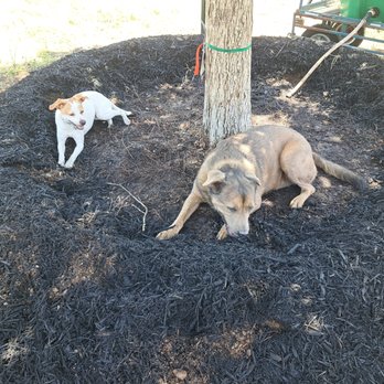 Moon Valley Nurseries - Dog approved. - Nurseries & Gardening Near Me - Dripping Springs, Texas