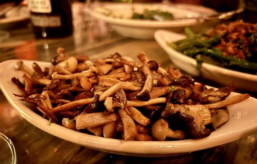 Scarlett - wedding in West Hollywood, CA