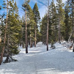 Tahoe Meadows - Tahoe Rim Trail at Tahoe Meadows.
