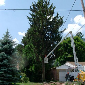 Specialty Tree Service - Tree Services Near Me - York, Pennsylvania Specialty Tree Service - Tree Services Near Me - York, Pennsylvania