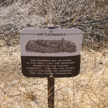 Mountain Meadows Golf Course - You better believe it. Think twice about fetching the ball in these hills. - Golf Near Me - Pomona, California Mountain Meadows Golf Course - You better believe it. Think twice about fetching the ball in these hills. - Golf Near Me - Pomona, California
