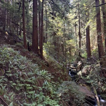 Russian Gulch State Park - Parks Near Me - Mendocino, California
