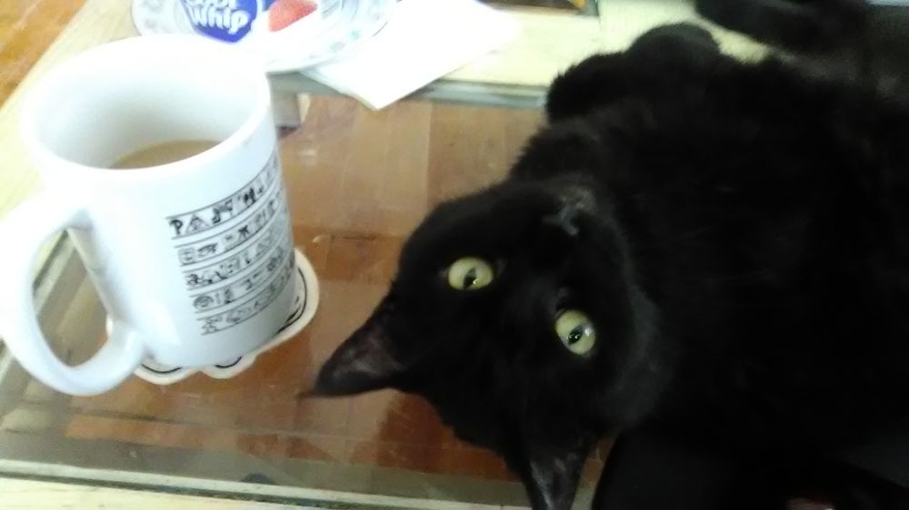 THE ANIMAL HOUSE PET CLINIC Updated September 2024 15 Reviews 3171 Voyager Dr, Green Bay