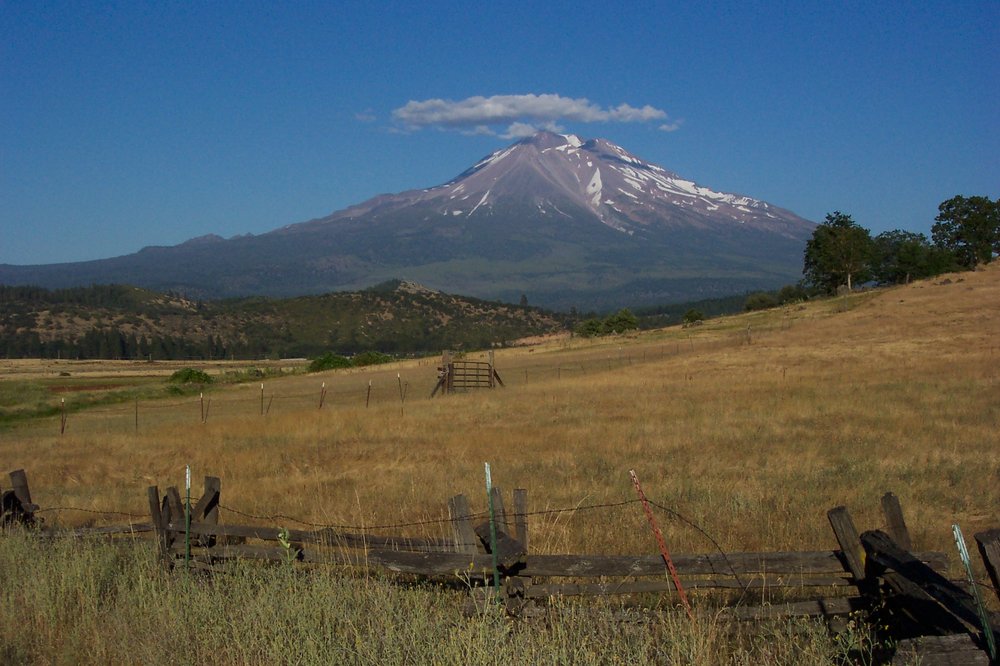 MOLLER REALTY GROUP 11 Photos 2889 Cohasset Rd, Chico, CA Yelp