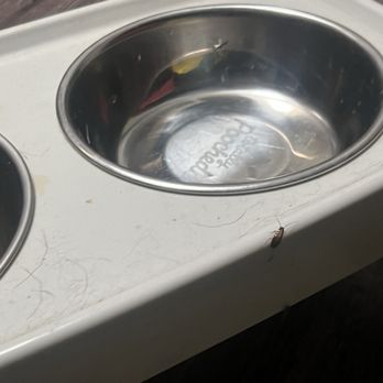 Camden Village Apartments - ROACHES - Apartments Near Me - fremont, California