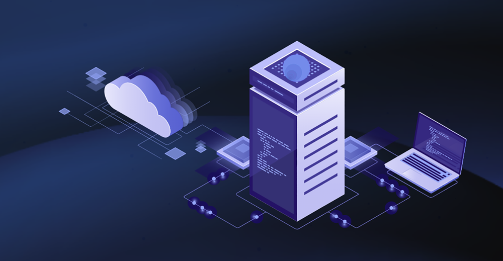 BLUE POINT SOLUTIONS Updated September 2024 Request Consultation