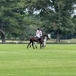 Bethpage Polo At the Park