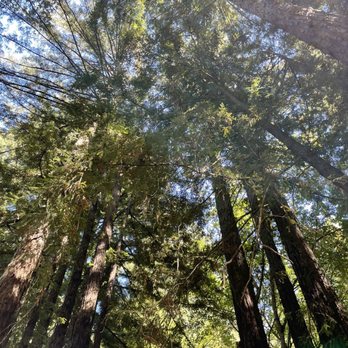 Sanborn County Park - Parks Near Me - Saratoga, California Sanborn County Park - Parks Near Me - Saratoga, California