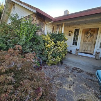 Rusbelt Landscape - Before - Landscaping Near Me - Galt, California