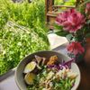 Yun Shui Teahouse gift card
