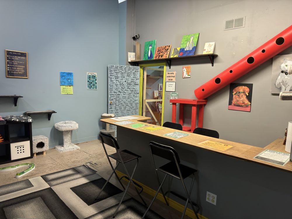 My Kitty Cafe - Photo 1