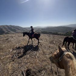 Point Reyes Arabian Adventures - A fabulous instructor and guide