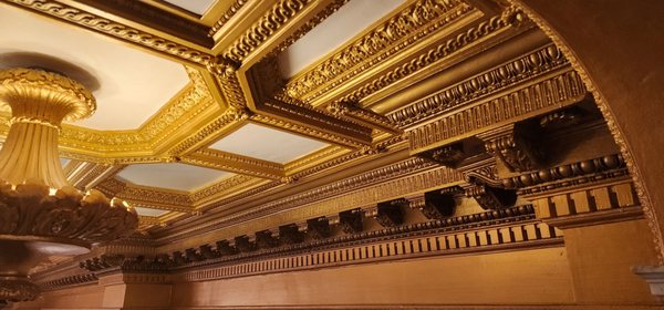 Chicago Athletic Association - The Unbound Collection by Hyatt by null