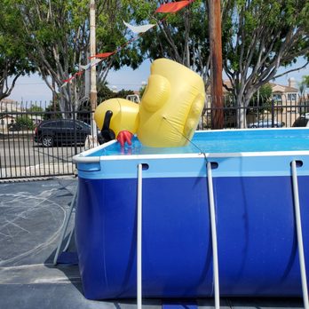Secard Pools & Spas - The rubber ducky need help.. - Hot Tub & Pool Near Me - Pico Rivera, California