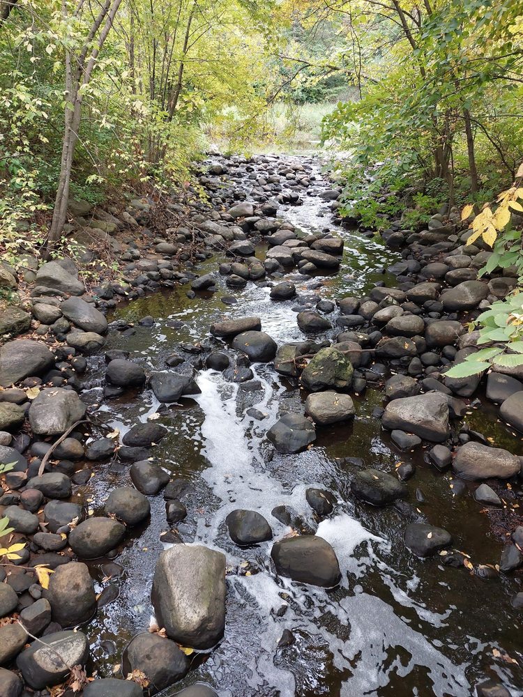 Nine Mile Creek Lower Valley Trail System Logo