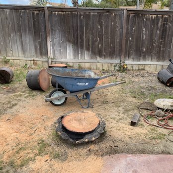 Pena Tree Service - Before - Tree Services Near Me Pena Tree Service - Before - Tree Services Near Me