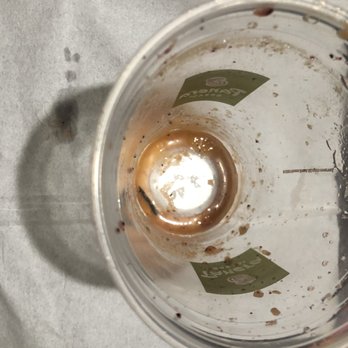 Panera Bread - Something that is neither blueberry or peach at the bottom of my smoothie. Random plastic? - Salad Near Me - Houston, Texas