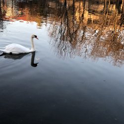 Lake Laverne