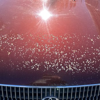 Classic Auto Body - Hood Before repairs - Body Shops Near Me - Lakeport, California