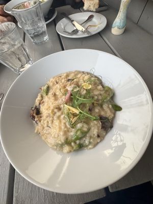 Feather & Wedge by null